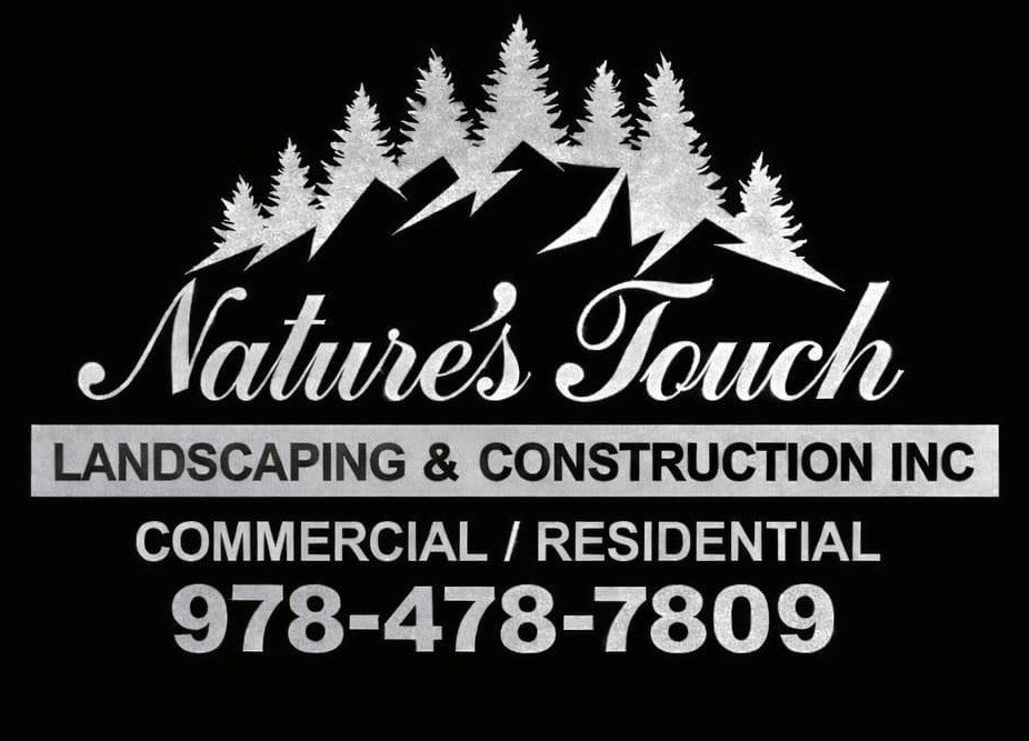 WhatsApp Image 2026-02-19 at 1.16.56 AM (3)